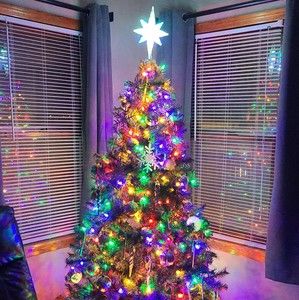 Meet your Posher, Leelee